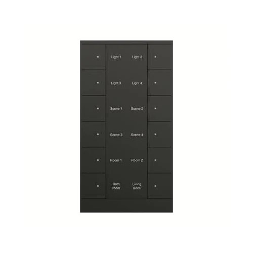 ABB SB/U12.0.1-885 12-Fold Control Element (Black Matt)
