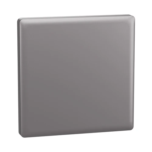 Schneider Unica KNX 2-Key Push-Button, Silver (NP16161_01SL)