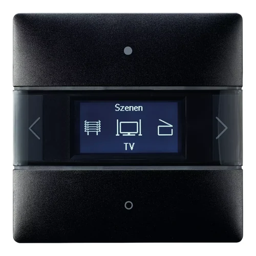 theben iON 108 KNX BK Room Controller (4969248)